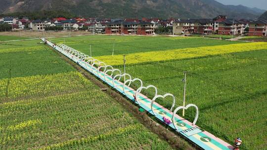 杭州桐庐合村乡春季油菜花海 航拍