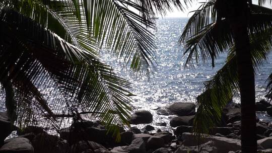 椰子树海浪波光粼粼三亚海岛视频素材模板下载