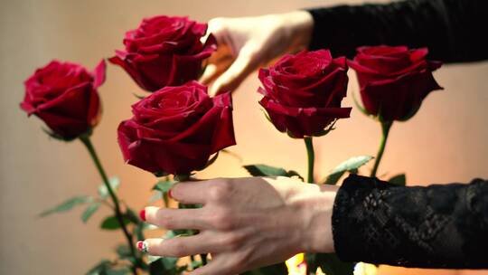 女孩把一束玫瑰放插进花瓶里视频素材模板下载