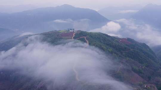 镇安海棠山