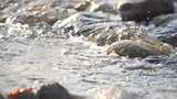 水 河流 小溪 风景 水流 河道 河 风光高清在线视频素材下载