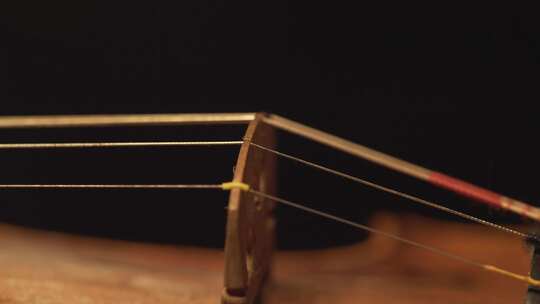 乐器琴弦琴头特写