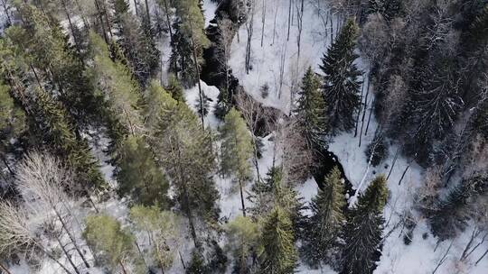冬末春初森林河流雪水融化航拍视频素材模板下载