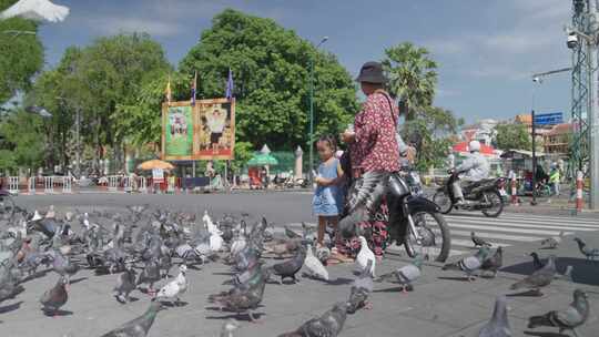 东南亚老人与儿童户外与鸽子玩耍