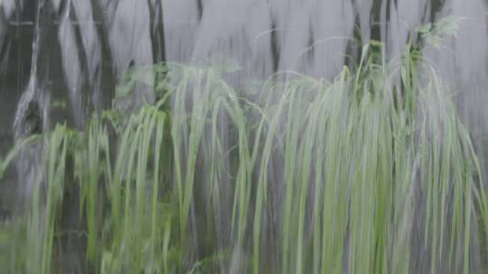 雨后清泉急流LOG