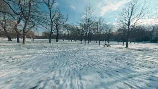 Fpv，雪，树，公园