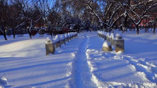 冬天公园老树小河雪景