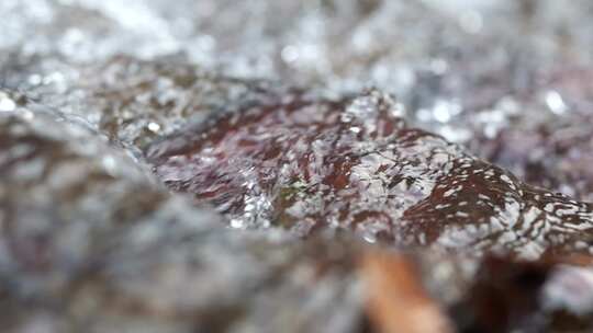 河流 小溪 水流 水 水流 岩石 石头