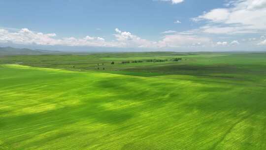 新疆伊犁昭苏农田航拍乡村田野风光