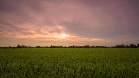 6k60p乡村田野夕阳延时摄影