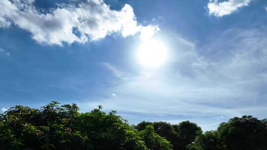 树林天空太阳照射阳光照射延时森林阳光日光