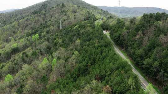 山与树之间的路