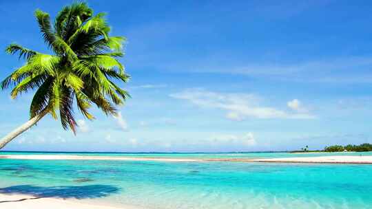航拍沙滩海边椰子树海浪大海天际线蓝天白云