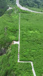 竖版航拍湖北神农架景区神农谷登山台阶