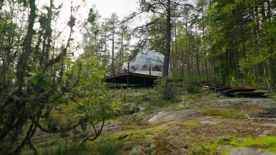 蒙古包，林地，Glamping，宾馆