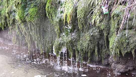 长满青苔岩石上的流水