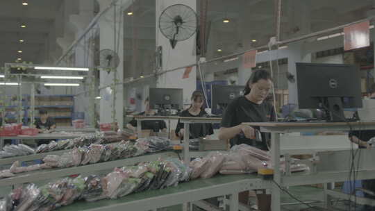 工厂流水线工人作业场景