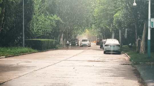 太阳雨 下雨 交通 女子横穿马路