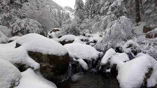 冰雪融化 春回大地万物复苏视频素材模板下载