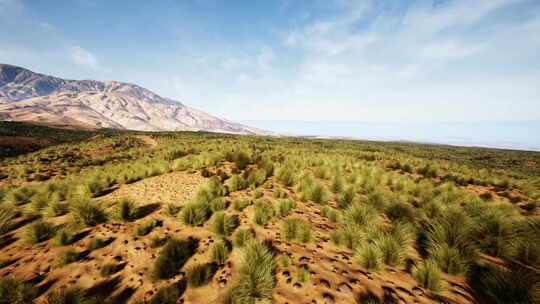 广阔的沙漠景观，远处是雄伟的山脉