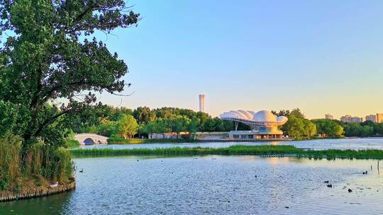 初夏傍晚夕阳下的朝阳公园湖面风光