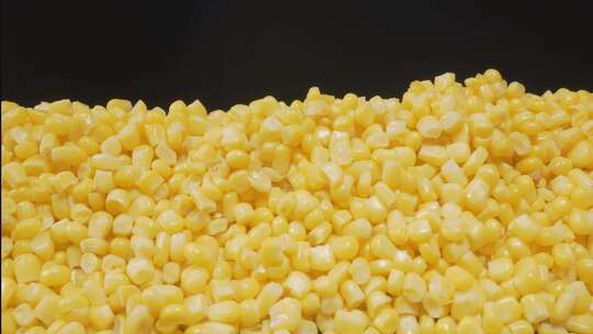 新鲜玉米甜玉米蔬菜农业粮食营养食材视频素材模板下载