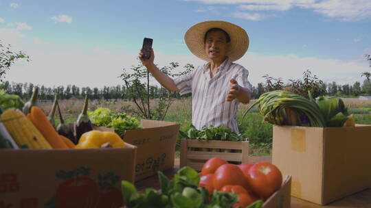 农民在线直播销售农产品视频素材模板下载