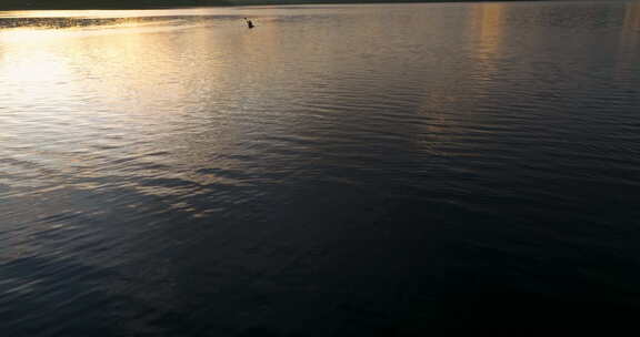 黎明时分，湖上站在桨板上的女人，远处是皮