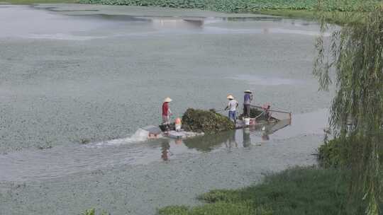 武汉洪山区杨春湖公园航拍