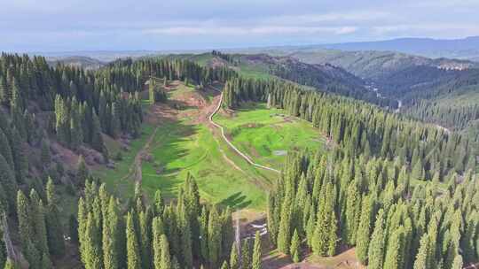 航拍新疆伊犁库尔德宁景区雪岭云杉森林雪山