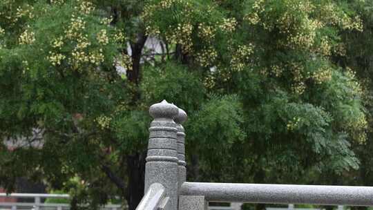 雨天屋檐下雨雨水惊蛰禅意古风清明大暑