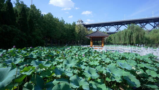 武汉汉阳江滩公园风景