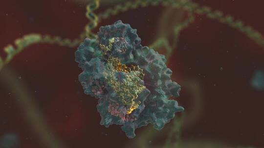 生物科学 基因编辑 DNA 基因工程 医学动画