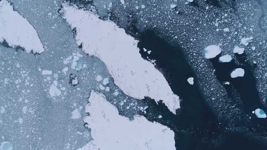 从雪岛放大到企鹅。南极洲拍摄。