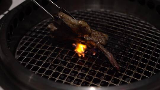 日式烧肉东北烤肉