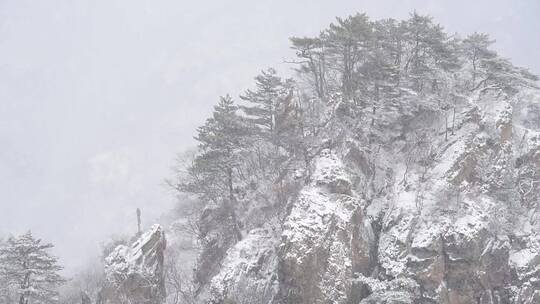 冬季风景