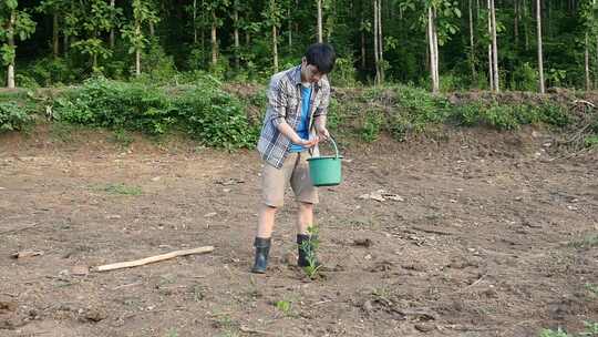 男人正在给植物浇水视频素材模板下载