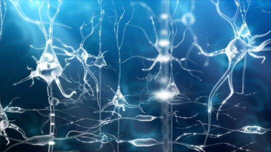 人体神经元网络经脉视频素材模板下载