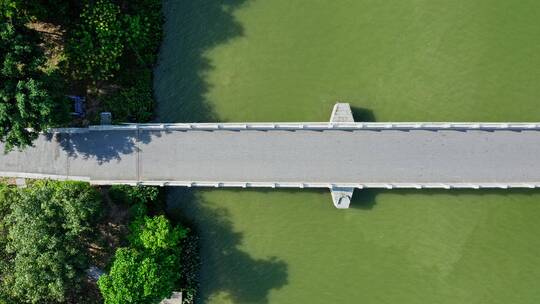 东莞航拍华阳湖湿地公园桥梁俯视右横移2