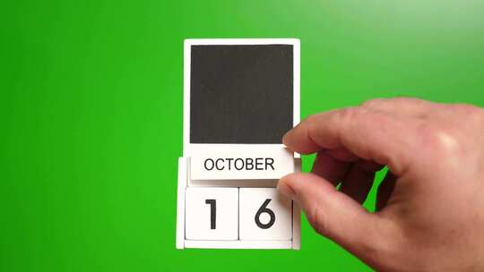 10.绿色背景上日期为10月16日的日历视频素材模板下载