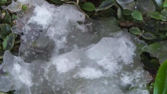 冰雪消融万物复苏