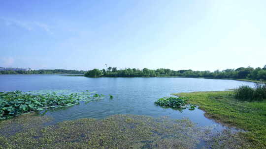 武汉武昌区东湖风景区