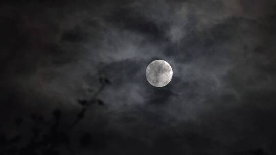 十五的月亮穿过云层【4k素材】