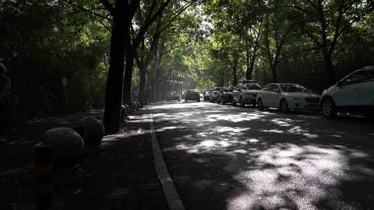 城市社区清晨道路空镜