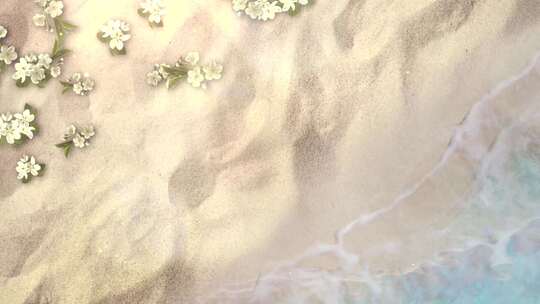 沙滩海浪浪花花朵视频素材模板下载