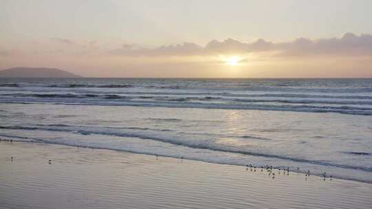 海边风景海浪拍打沙滩鹬鸟海鸥飞翔