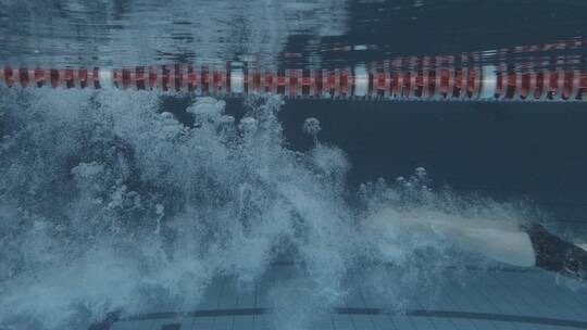 男游泳运动员跳入游泳池