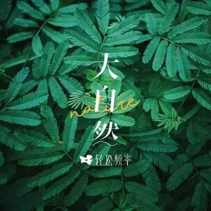 山谷（治愈纯音乐）