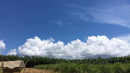 草地上的云与割草机上的人的时移