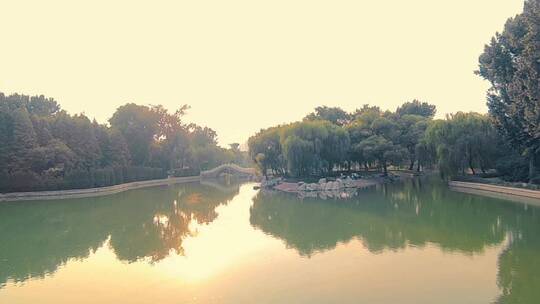 湖边夕阳下的垂柳